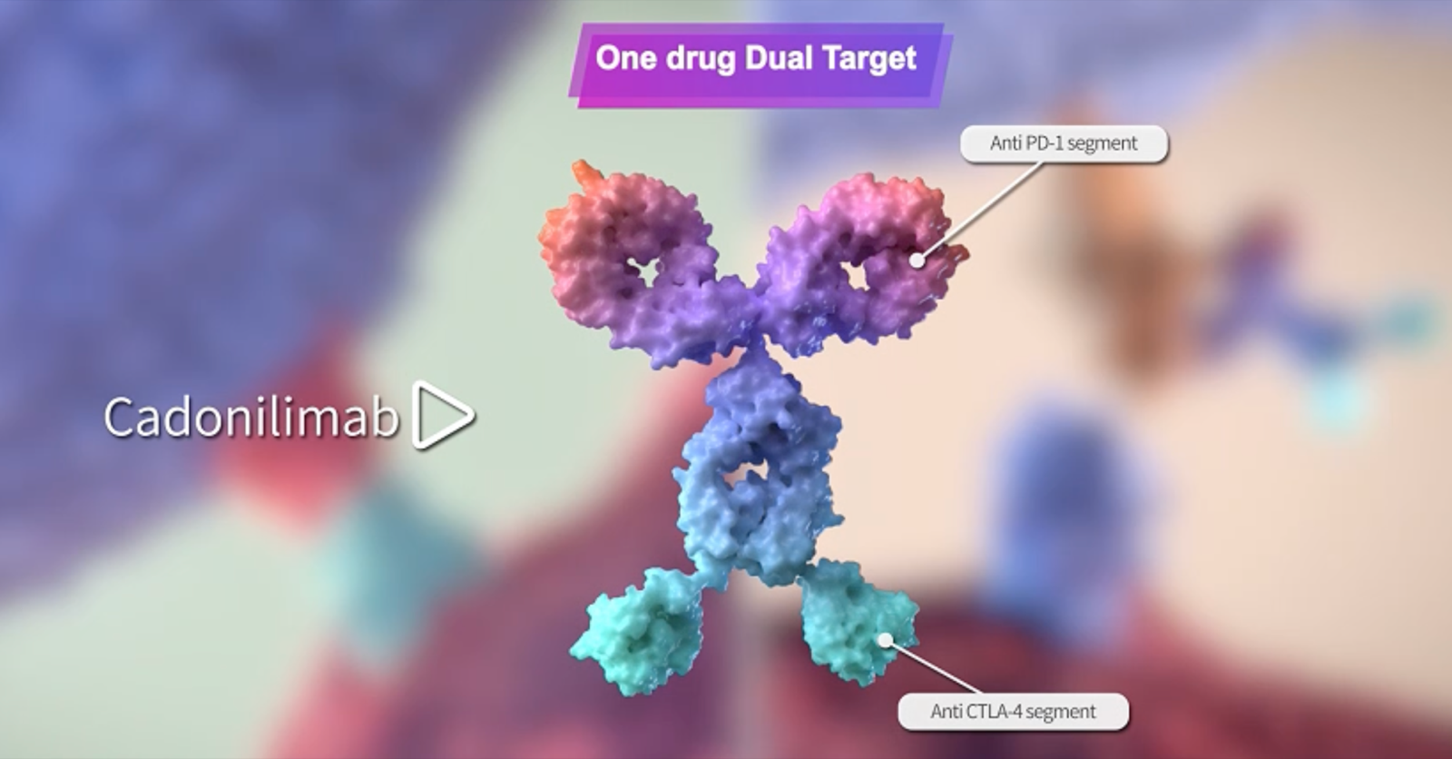Drug image: cadonilimab