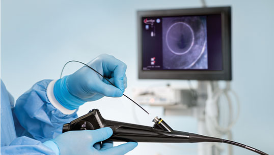 Endoscopic submucosal dissection — curing early GI cancer through the endoscope, no incision.